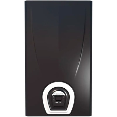 Котел газовый настенный Federica Bugatti 12 VARME BLACK 2-х конт. с дисп. c WI-FI  (латунная)