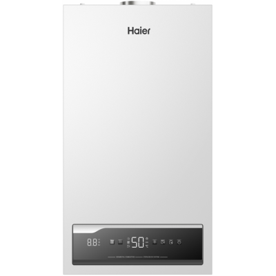 Настенный газовый котел Haier ProLine S 2.28 Ti